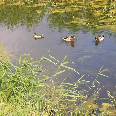 Engdraget Brenderup Fyn Vi Casa de Férias *