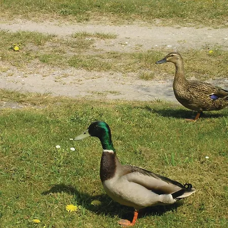 Casa de Férias Engdraget Brenderup Fyn Vi