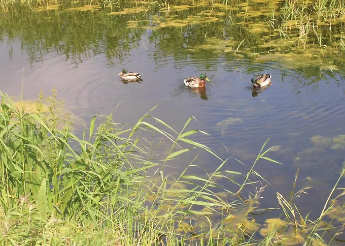 Engdraget Brenderup Fyn Vi Casa de Férias *