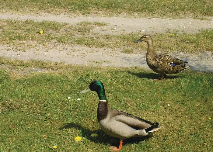 Casa de Férias Engdraget Brenderup Fyn Vi